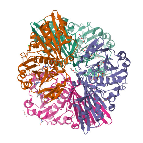 RCSB PDB - 9ZAG: Crystal structure of a glyceraldehyde-3-phosphate ...