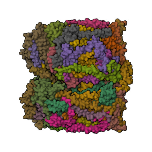 Structure 9ZAK