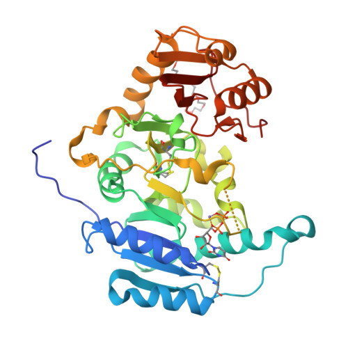Structure 9ZAZ
