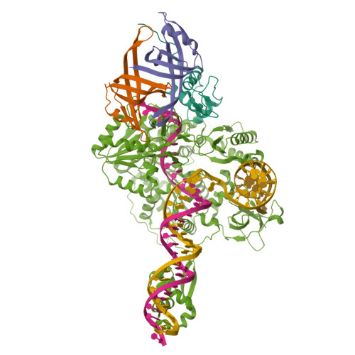 RCSB PDB - 9ZBT: Visualization of PriA/PriB/DnaT complexes reveals ...