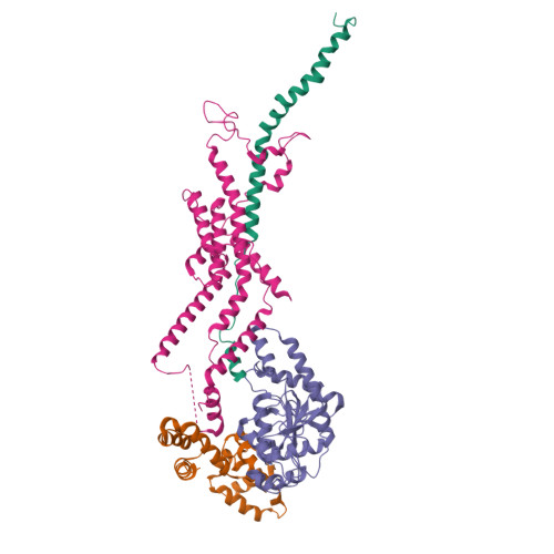 Structure 9ZC4