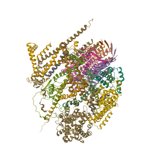 Structure 9ZC5