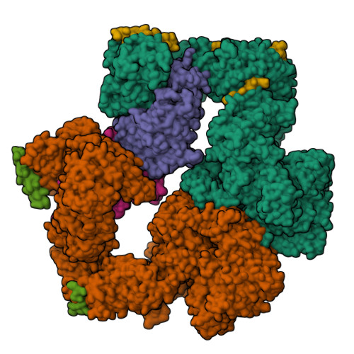 Structure 9ZD3