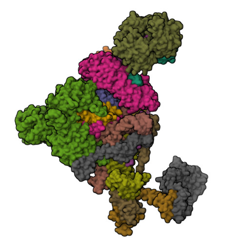 RCSB PDB - 9ZE3: Cryo-EM structure of the endogenous U2