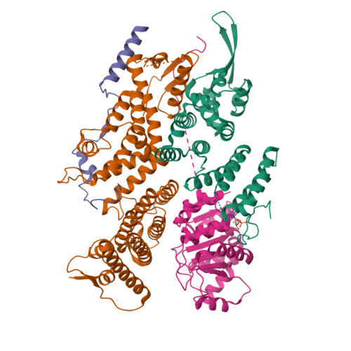 Structure 9ZEB