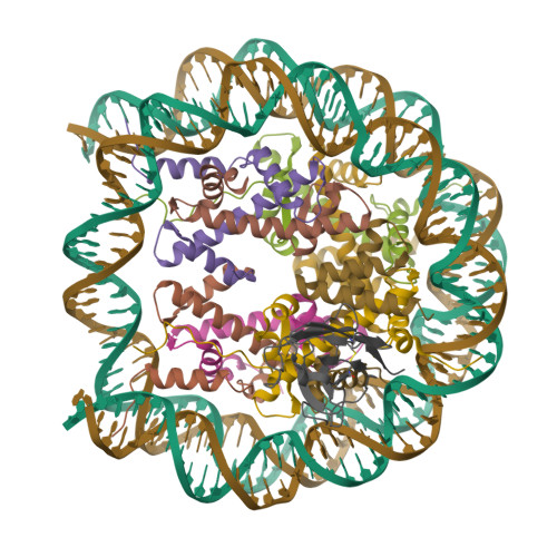 RCSB PDB - 9ZEO: Competition for different elements of the
