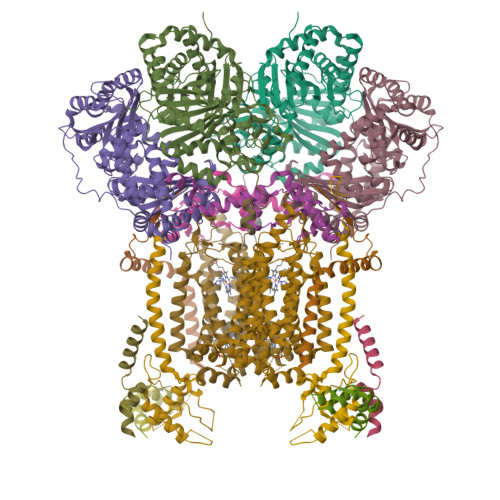 Structure 9ZFS