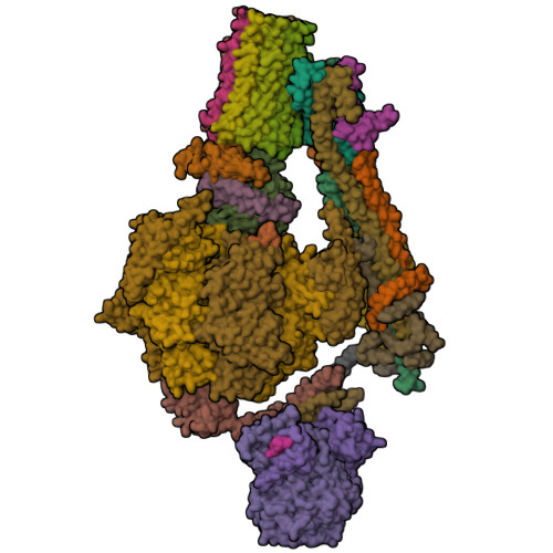Structure 9ZFT