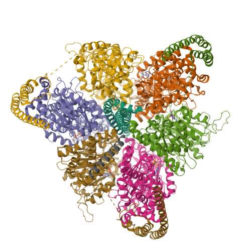 Structure 9ZFU