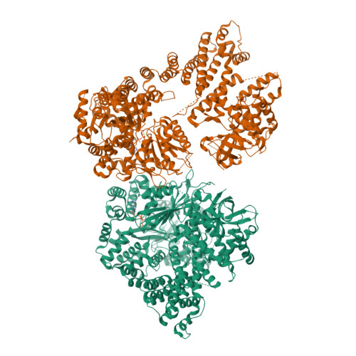 RCSB PDB - 9ZJW: Human sterile alpha motif domain-containing protein 9 ...
