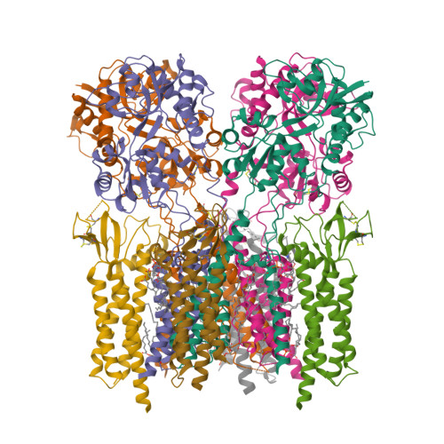 RCSB PDB - 9ZKM: The LBD-TMD structure of native mouse AMPAR with 4 TARPs