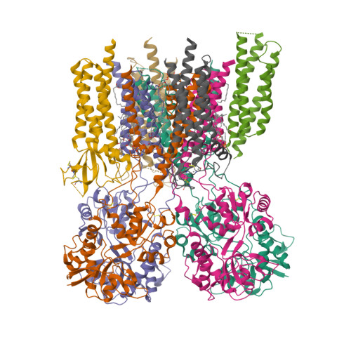 RCSB PDB - 9ZKQ: The LBD-TMD structure of native mouse AMPAR with 3 ...