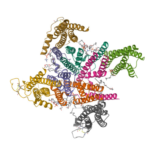 RCSB PDB - 9ZKR: The TMD structure of native mouse AMPAR with 3 TARPs 1 ...