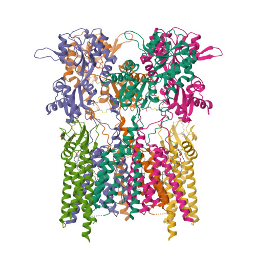 RCSB PDB - 9ZKV: The LBD-TMD structure of native mouse AMPAR with 2 TARPs