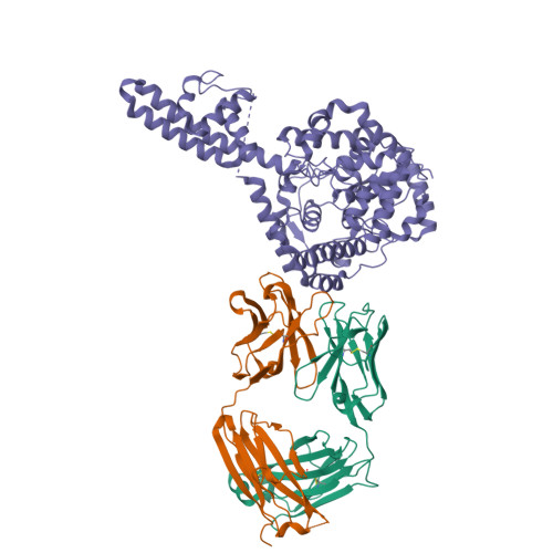 Structure 9ZMQ