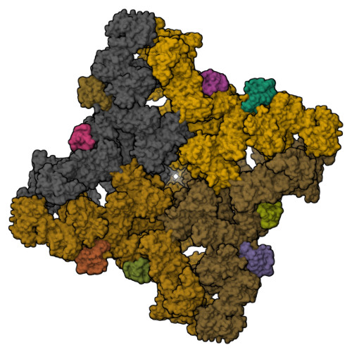 Structure 9ZN9