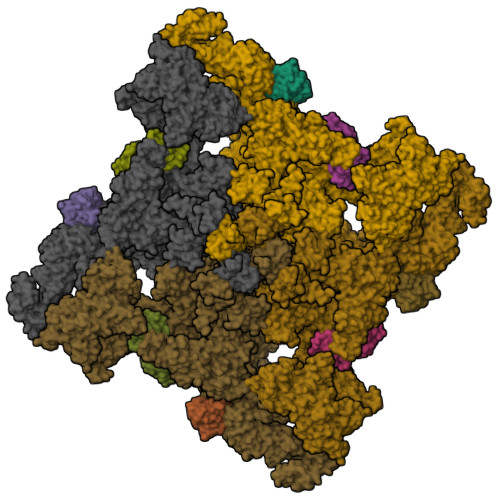 Structure 9ZNA