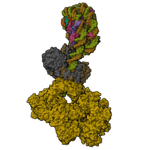 Structure 9ZNC