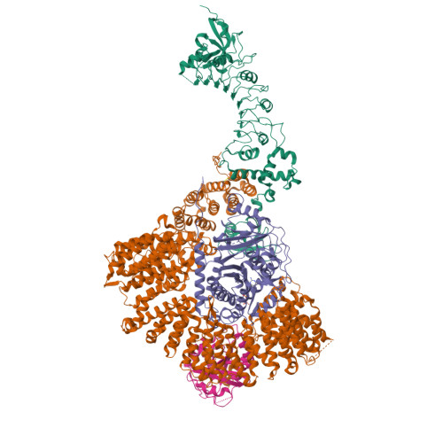 Structure 9ZNV