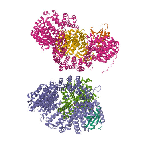 Structure 9ZNX