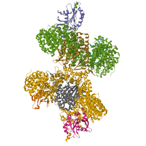 Structure 9ZNZ