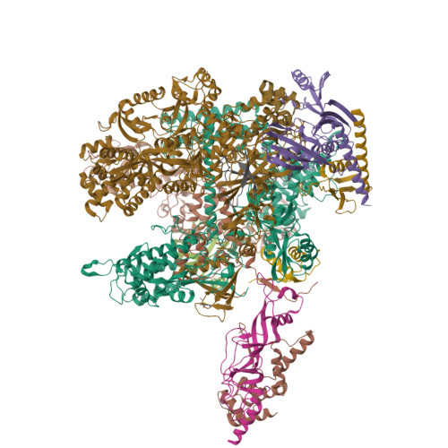 Structure 9ZO4