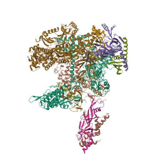 Structure 9ZO5