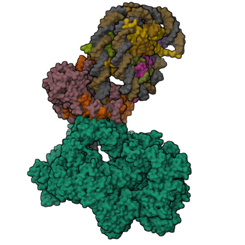 Structure 9ZOB
