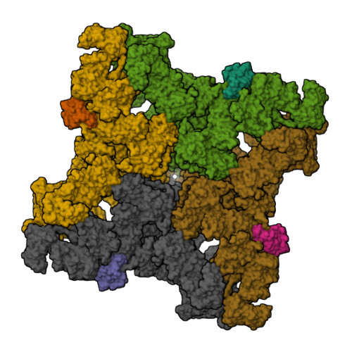 Structure 9ZOE