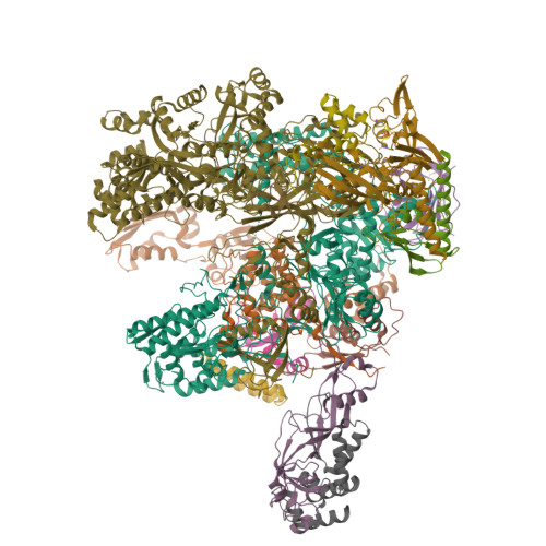 Structure 9ZOH
