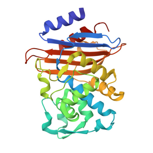 Structure 9ZOZ