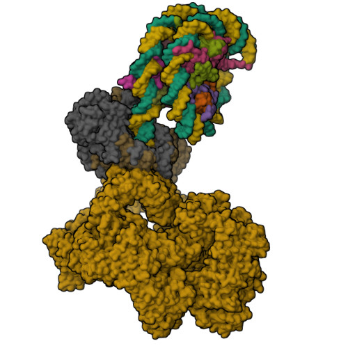 Structure 9ZP0