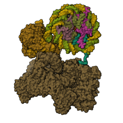 Structure 9ZP9
