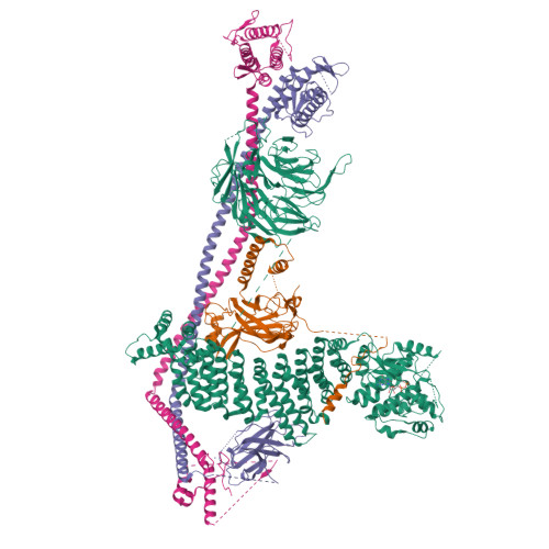 Zpc Structure RCSB PDB - 9ZPC: Cryo-EM structure of human PI3KC3-C2