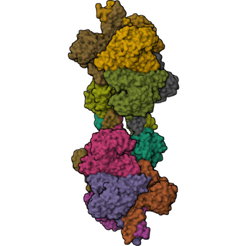 Structure 9ZQT