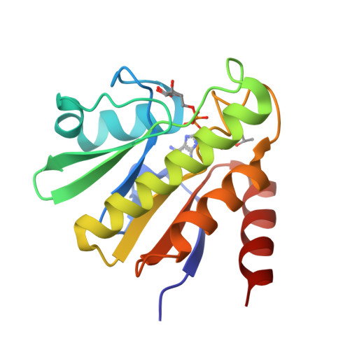 Structure 9ZRB