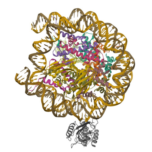 Structure 9ZS5