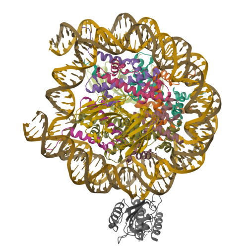 Structure 9ZS6