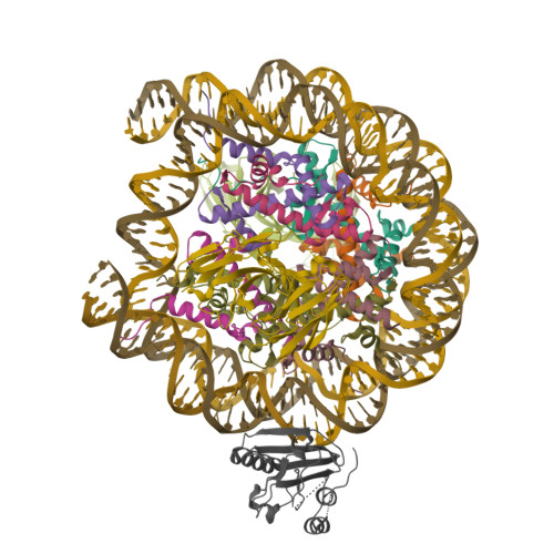 Structure 9ZSI
