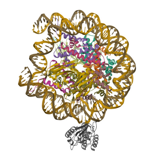 Structure 9ZSJ