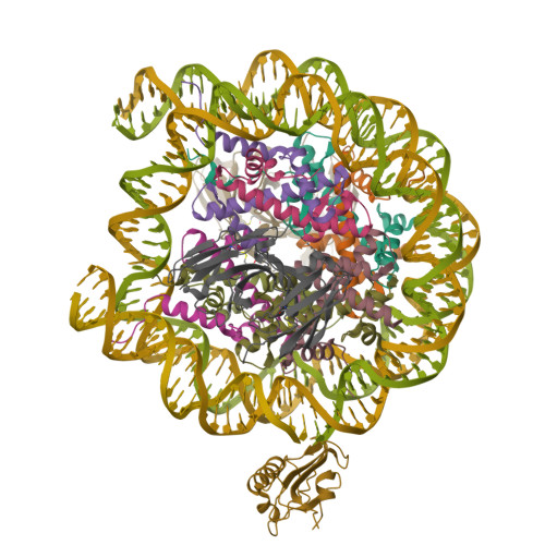 Structure 9ZSK