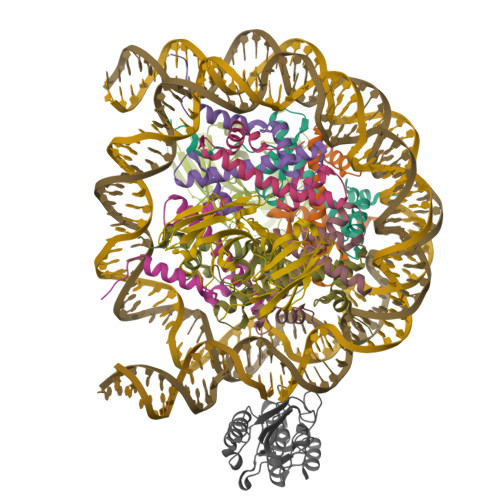 Structure 9ZSM