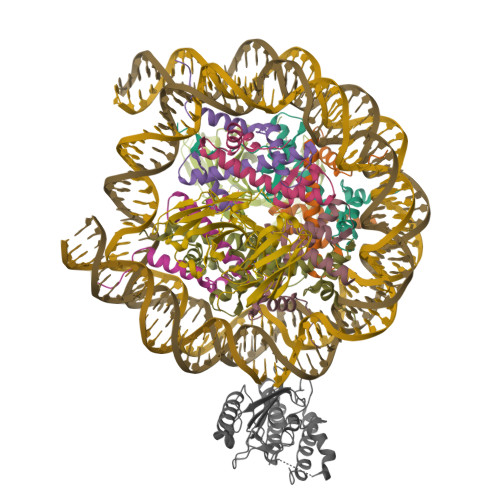 Structure 9ZSP