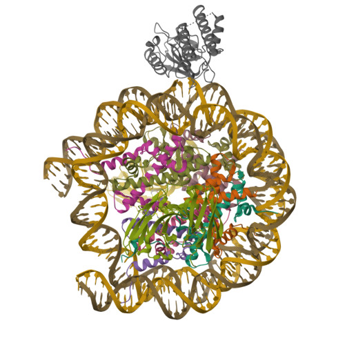 Structure 9ZSQ