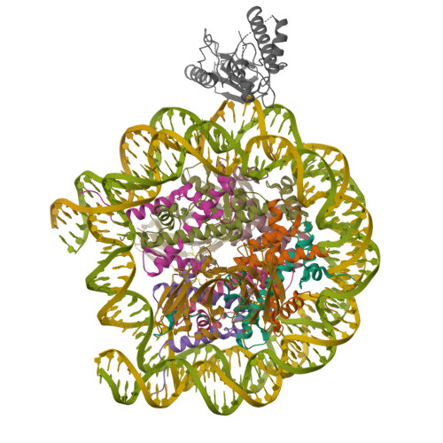 Structure 9ZSR