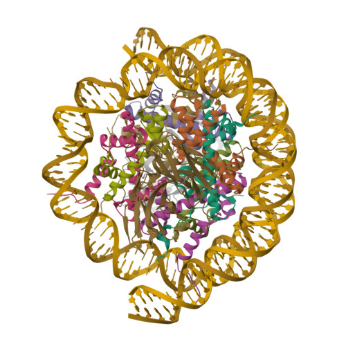 Structure 9ZST