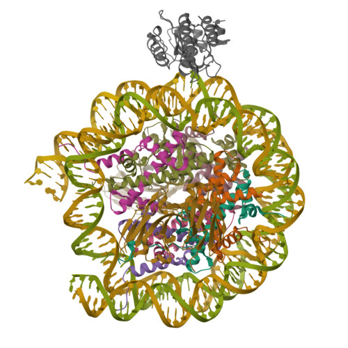 Structure 9ZSU