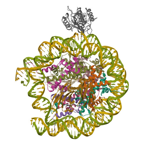 Structure 9ZSW
