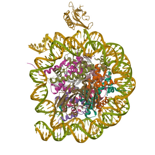 Structure 9ZSX