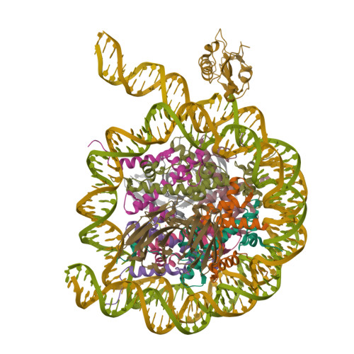 Structure 9ZSY